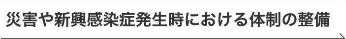 災害や新興感染症発生時における体制の整備